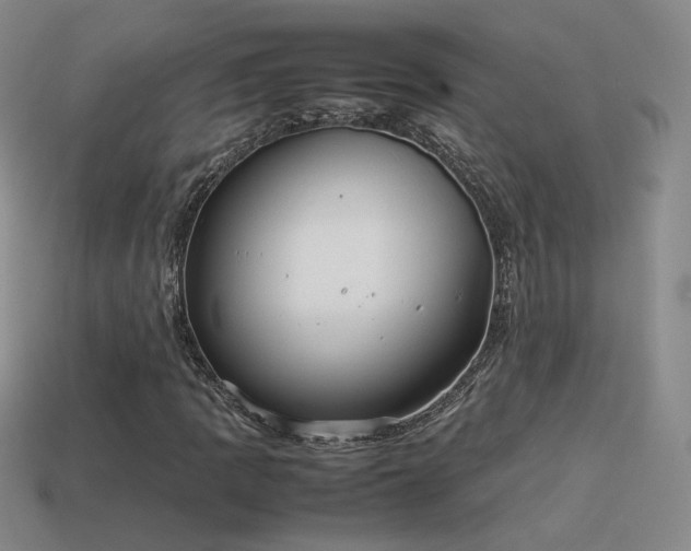 X0000114151109200910151538