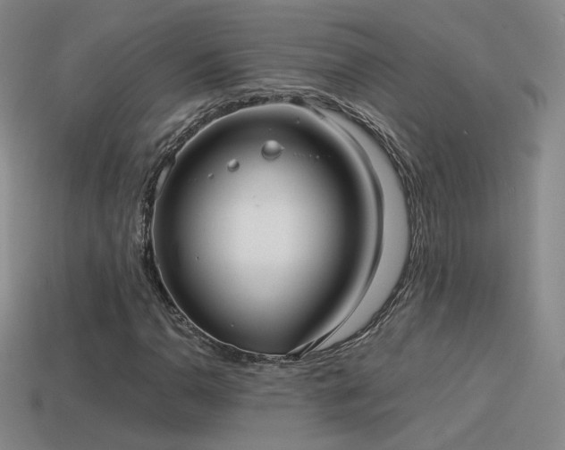 X0000114151110200910151538