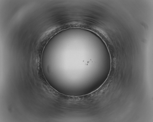 X0000114151111200910151538