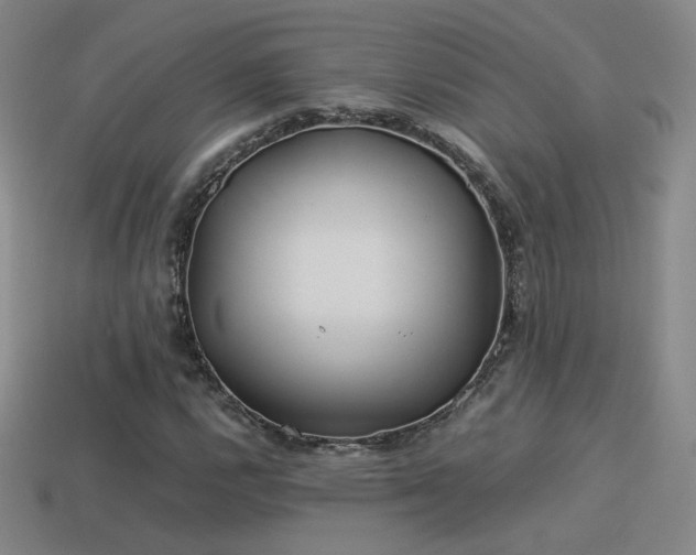 X0000114151112200910151538
