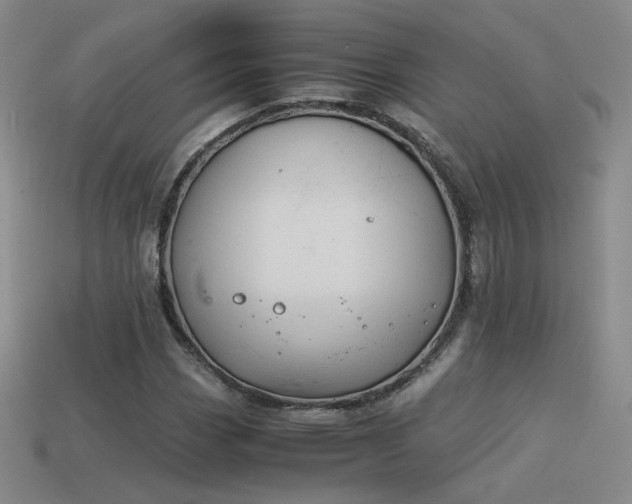 X0000114151113200910151538