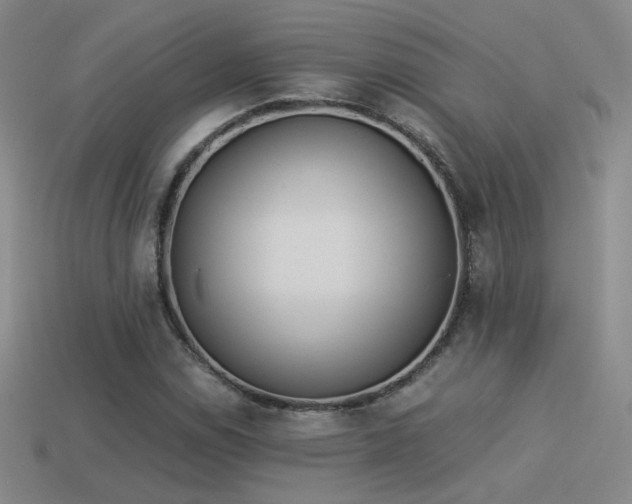 X0000114151114200910151538