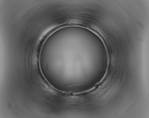 X0000114151115200910151538