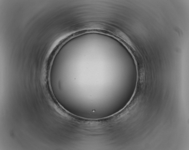 X0000114151116200910151538