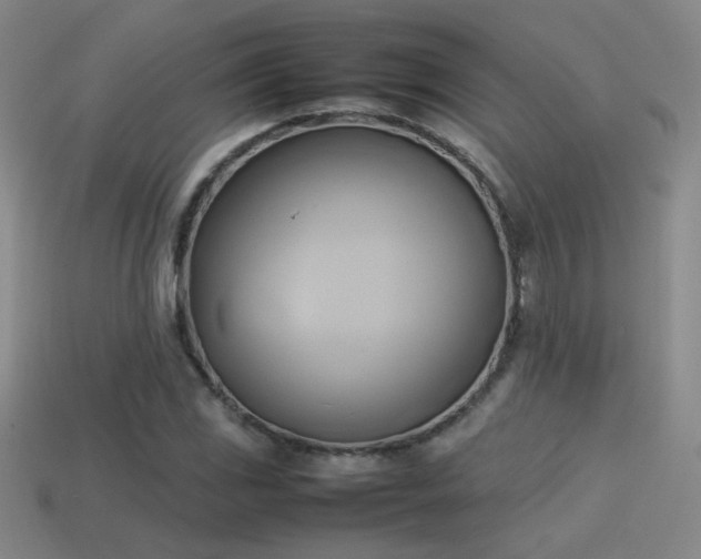 X0000114151117200910151538