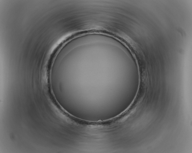 X0000114151118200910151538