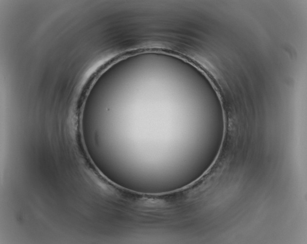 X0000114151119200910151538