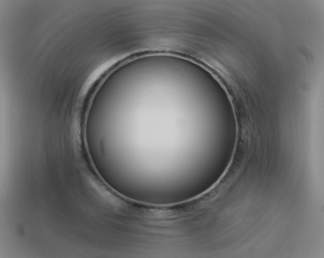 X0000114151120200910151538