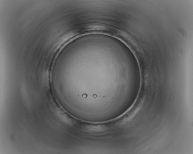 X0000114151121200910151538