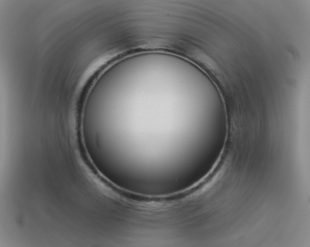 X0000114151122200910151538