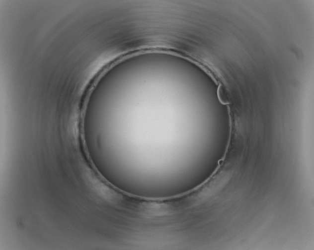 X0000114151124200910151538