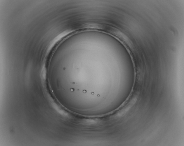 X0000114151125200910151538