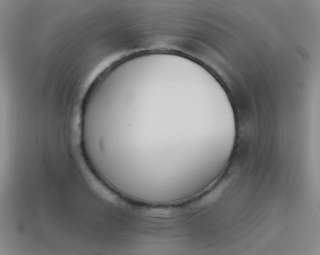 X0000114151126200910151538