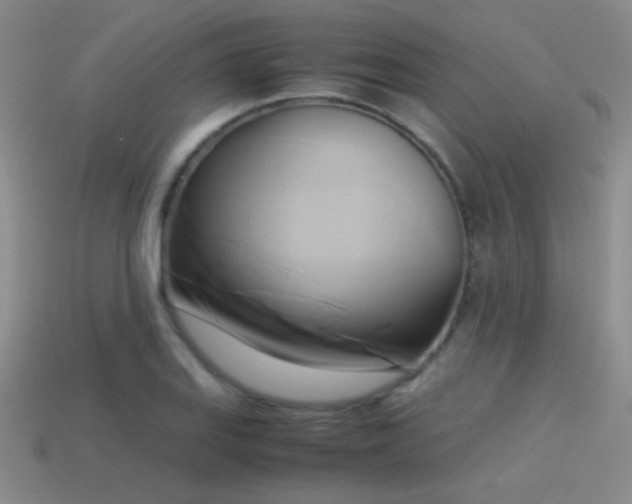 X0000114151127200910151538