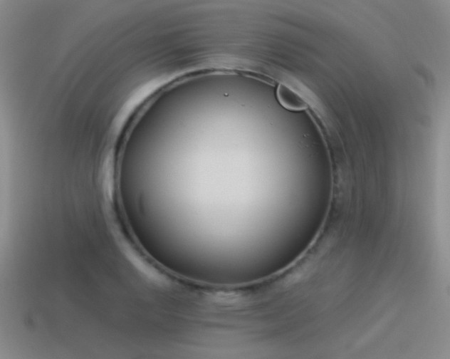 X0000114151128200910151538