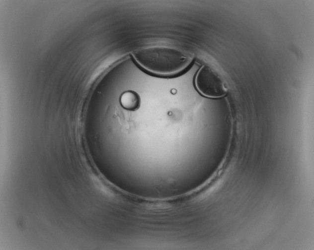 X0000114151129200910151538