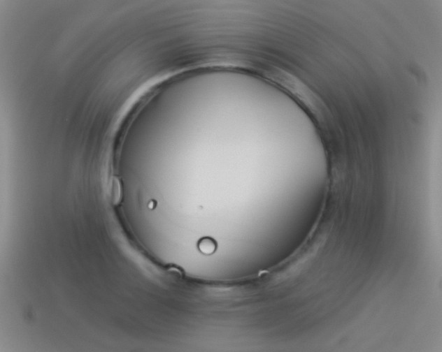 X0000114151132200910151538