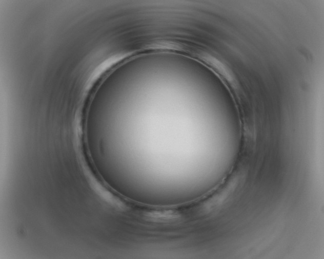 X0000114151133200910151538