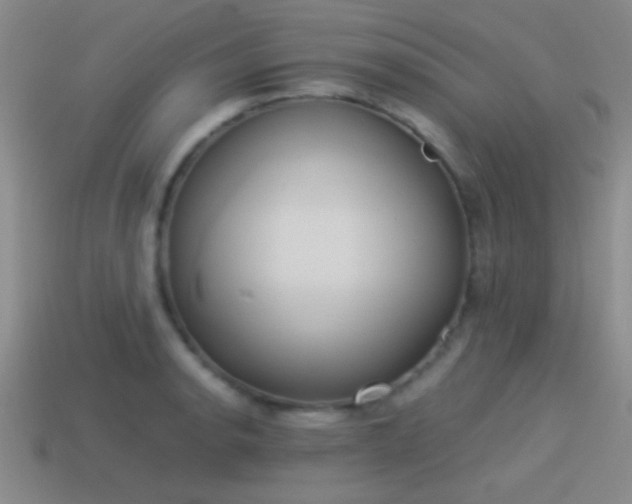 X0000114151134200910151538