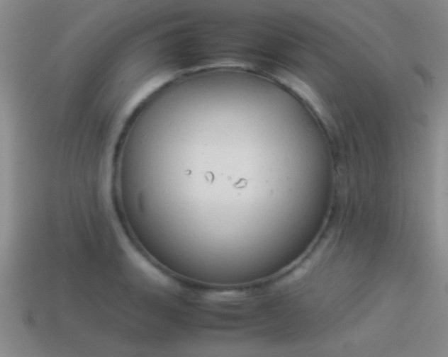 X0000114151135200910151538