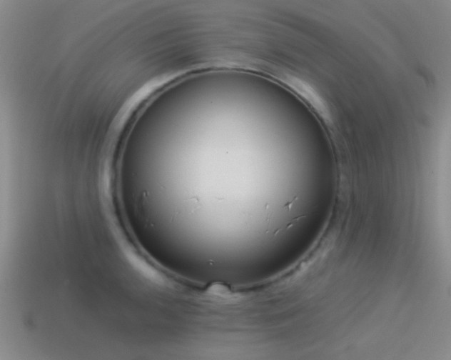 X0000114151136200910151538