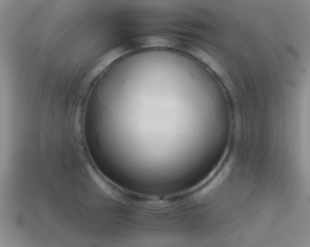 X0000114151137200910151538