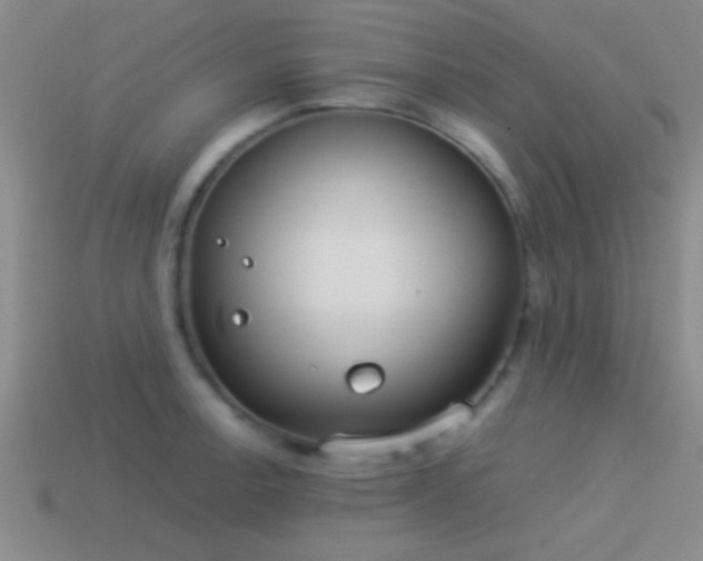 X0000114151138200910151538