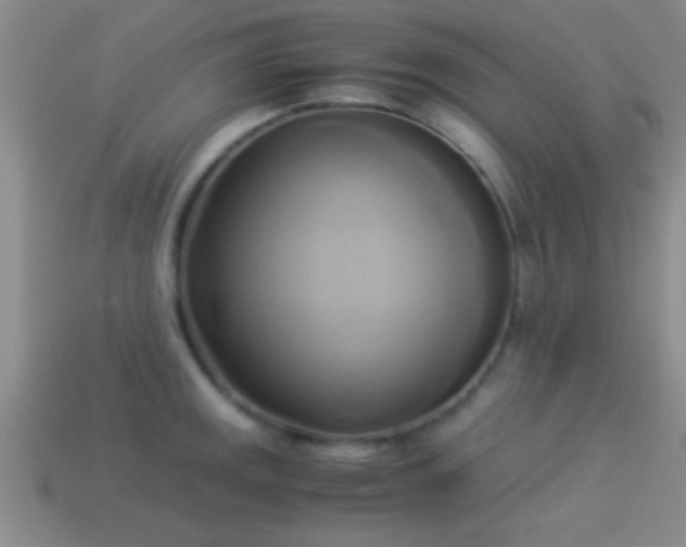 X0000114151141200910151538
