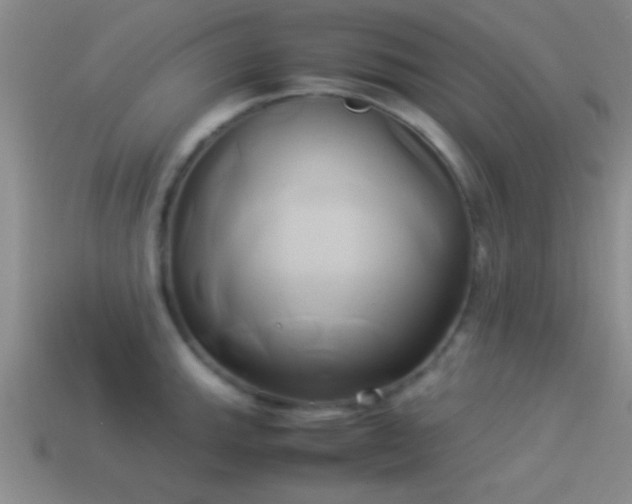 X0000114151143200910151538
