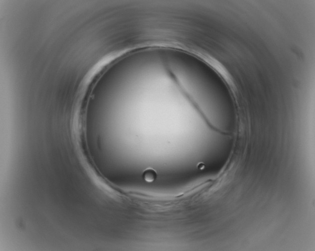 X0000114151144200910151538