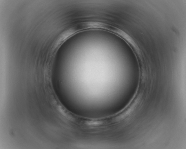 X0000114151145200910151538
