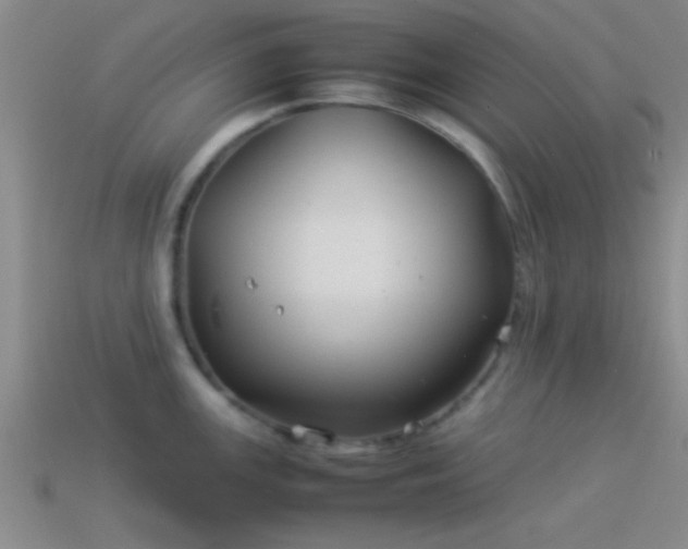 X0000114151147200910151538