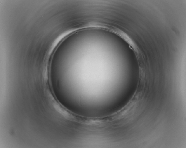 X0000114151148200910151538