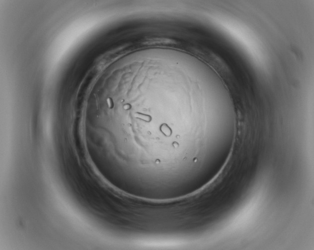 X0000114151151200910151539