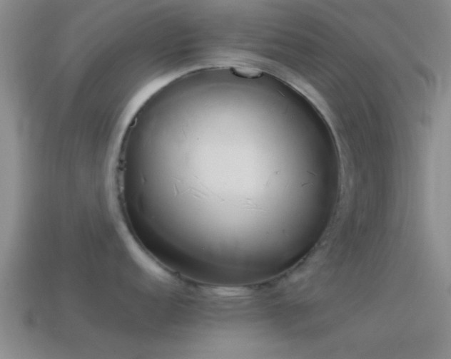 X0000114151152200910151539