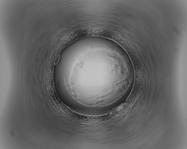 X0000114151153200910151538