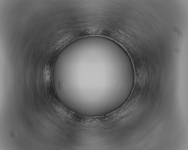 X0000114151154200910151538