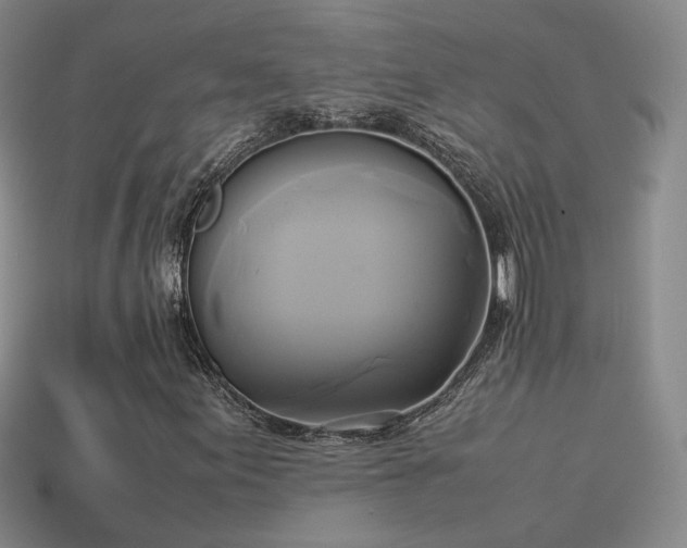 X0000114151155200910151538