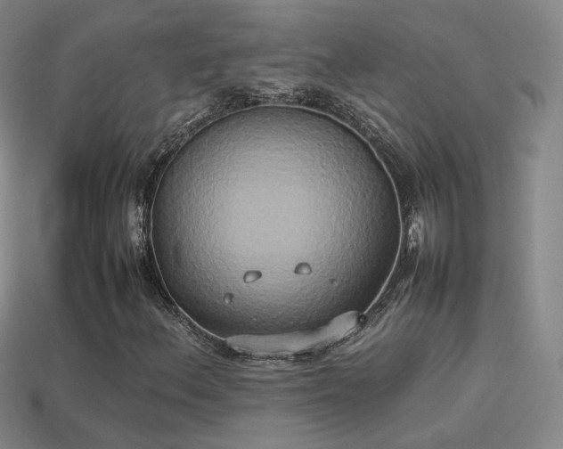 X0000114151156200910151538