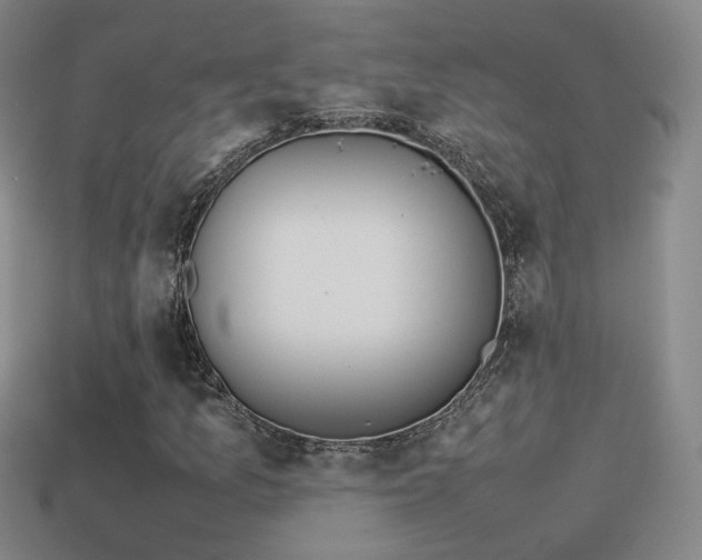 X0000114151157200910151538