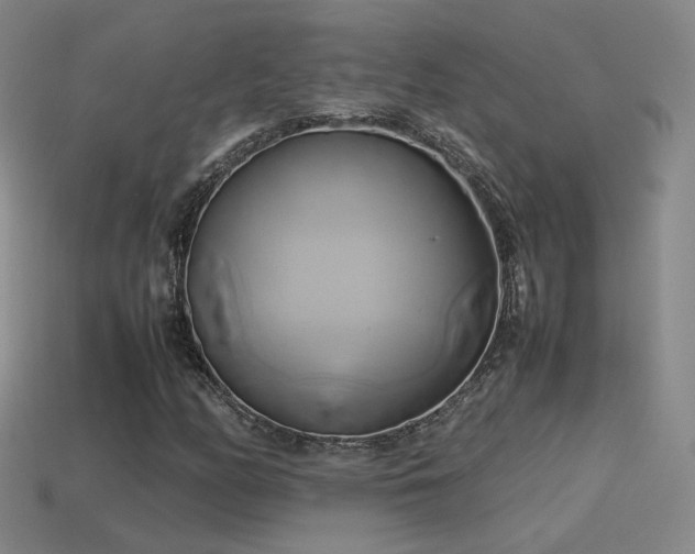 X0000114151158200910151538