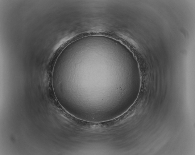 X0000114151160200910151538