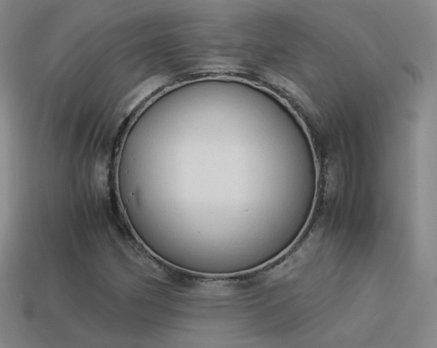 X0000114151162200910151538