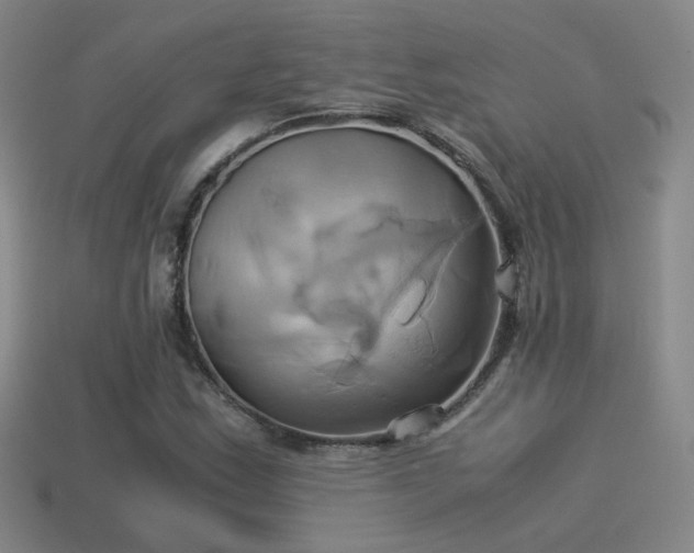 X0000114151163200910151538