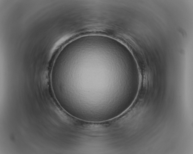 X0000114151164200910151538