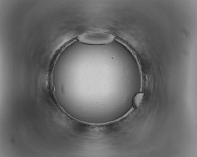 X0000114151165200910151538