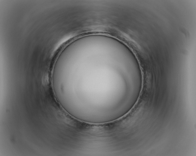 X0000114151166200910151538