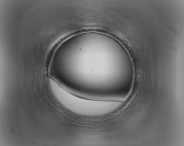 X0000114151167200910151538