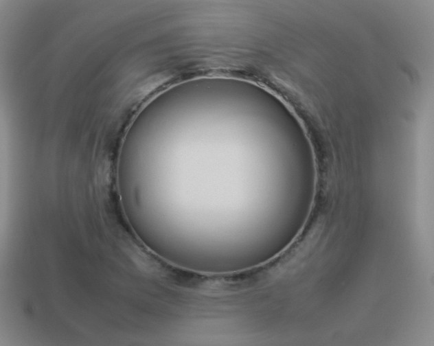 X0000114151169200910151538