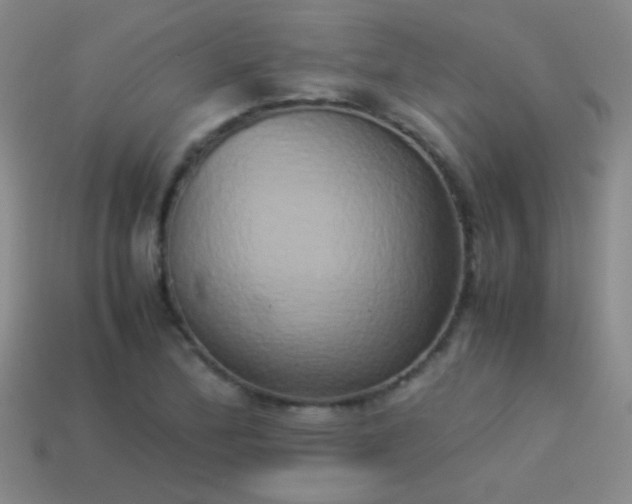 X0000114151172200910151538